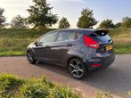 Ford Fiësta 1.6 Tdci 5DR 2011 Grijs, eerste eigenaar, leder, Voorwielaandrijving, 28 km/l, 750 kg, Overige kleuren