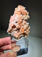 Zachtroze zeldzame Botryoidale Druzy Rozenkwarts. Peru, Ophalen of Verzenden, Mineraal