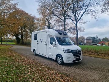 Renault Master Occasion hengsten uitvoering paardenwagen 165 beschikbaar voor biedingen