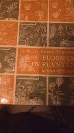 Boek: 52 Weken Bloemen en Planten Verzorgen, Ophalen of Verzenden, Gelezen, Overige onderwerpen, A.C. Muller-Idzerda