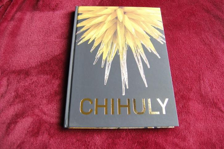 Chihuly Dale Chihuly glaskunstenaar, Boeken, Kunst en Cultuur | Beeldend, Zo goed als nieuw, Ophalen of Verzenden
