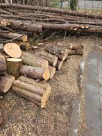 Gratis af te halen. Voor bijv. Buitenhaard., Tuin en Terras, Minder dan 3 m³, Ophalen, Overige houtsoorten, Stammen