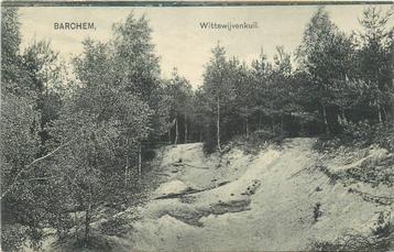 (387-162-001) Barchem Wittewijvenkuil beschikbaar voor biedingen