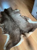 Rendier? Kleed nieuw, Ophalen of Verzenden, Nieuw