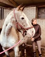 Betrouwbare Verzorger aangeboden, Ophalen of Verzenden, Zo goed als nieuw