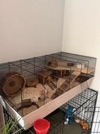 Hamster met kooi, Dieren en Toebehoren, Ophalen