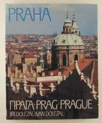 Dolezal, Jiri / Dolezal, Ivan - Praha, Verzenden, Gelezen