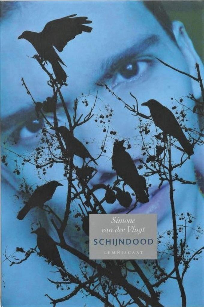 SCHIJNDOOD - Historische roman van SIMONE VAN DER VLUGT, Boeken, Historische romans, Nieuw, Ophalen of Verzenden