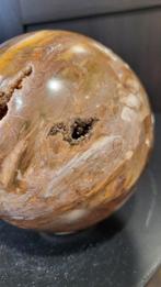 Versteend hout bol XL 11 cm, Verzamelen, Ophalen of Verzenden