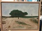 Mooi schilderij incl baklijst, afm 30x40 cm, Antiek en Kunst, Ophalen of Verzenden