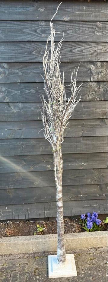 Boompje met sneeuw en buigzame takken beschikbaar voor biedingen