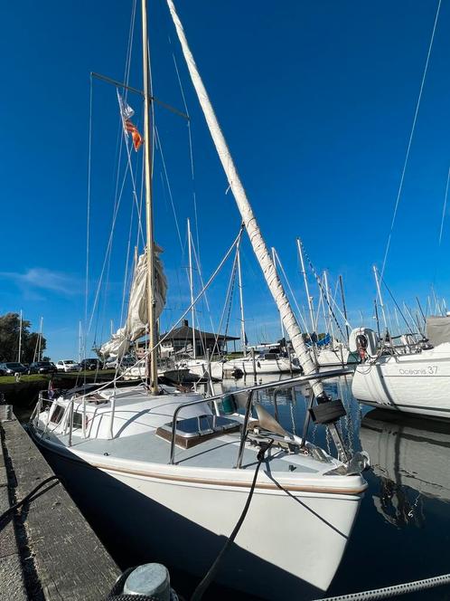 Jaguar 22, Watersport en Boten, Kajuitzeilboten en Zeiljachten, Gebruikt, Polyester, 6 tot 9 meter, Benzine, Ophalen