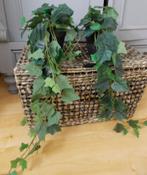 2 mooie kunst bloemen klimop plantjes, Ophalen of Verzenden, Zo goed als nieuw, Binnen