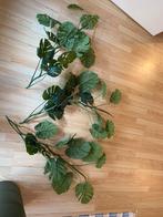 Kunstplanten, Ophalen, Zo goed als nieuw