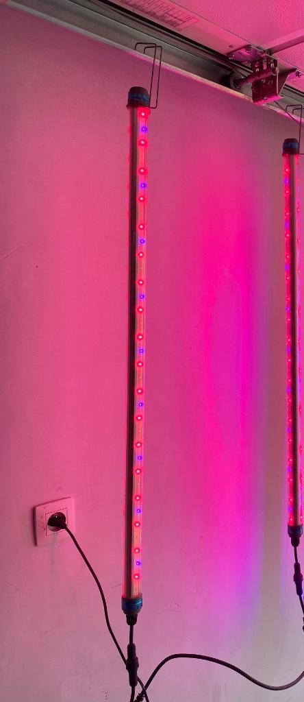 Teeltlampen grow led kweeklampen 35w, Tuin en Terras, Kweekspullen, Nieuw, Kweeklamp, Ophalen