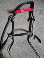 Hoofdstel pony zonder bit, Ophalen, Dressuur