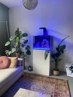 Waterbox 60.2 aquarium, Ophalen, Zo goed als nieuw, Leeg aquarium