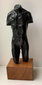 Mannelijke tors, Ophalen of Verzenden