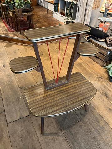 Vintage Plantentafel beschikbaar voor biedingen