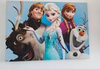 Frozen canvas, Kinderen en Baby's, Kinderkamer | Inrichting en Decoratie, Ophalen, Gebruikt, Wanddecoratie