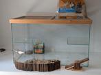 Glazen terrarium 70x40x40, Ophalen, Gebruikt, Terrarium of Paludarium