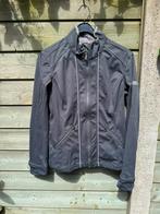 Anky jasje grijs M, Ophalen of Verzenden, Dressuur, Bovenkleding