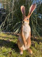 (Tuin)Beeld haas, tuin, konijn, vijver 60cm, Ophalen, Nieuw, Kunststof, Dierenbeeld