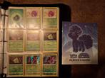 Complete set Pokémon Silver Tempest in EX/NM conditie, Ophalen of Verzenden, Zo goed als nieuw, Meerdere kaarten, Foil
