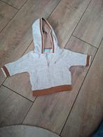 Te koop: 4 vestjes/ jasjes, Gebruikt, Jongetje of Meisje, Ophalen of Verzenden, Prenatal