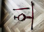 Hondentuig en band | rogz | mt L | zgan, Dieren en Toebehoren, Honden-accessoires, Ophalen of Verzenden, Zo goed als nieuw