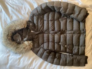 Winterjas dons Tommy Hilfiger beschikbaar voor biedingen