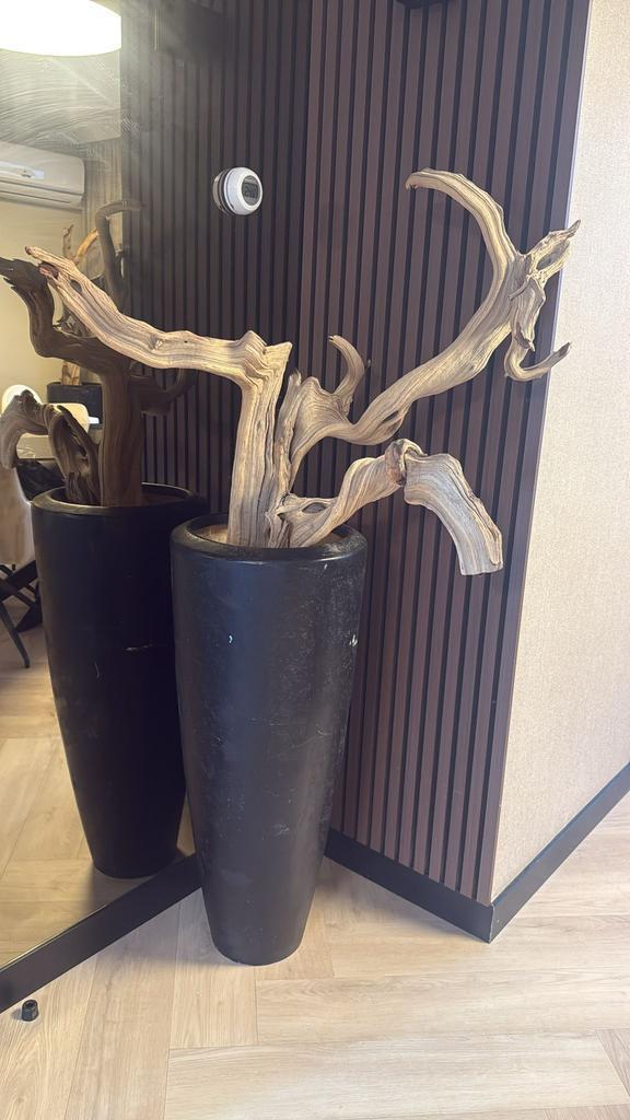 Grote zwarte pot met ghostwood tak, Tuin en Terras, Bloembakken en Plantenbakken, Zo goed als nieuw, Kunststof, Binnen, Balkon