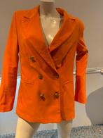 Rinascimento oranje colbert maat l, Kleding | Dames, Maat 38/40 (M), Oranje, Ophalen of Verzenden, Zo goed als nieuw