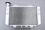 Radiateur Koeler Radiator AVDB BMW G310GS G 310 GS 2021 2025