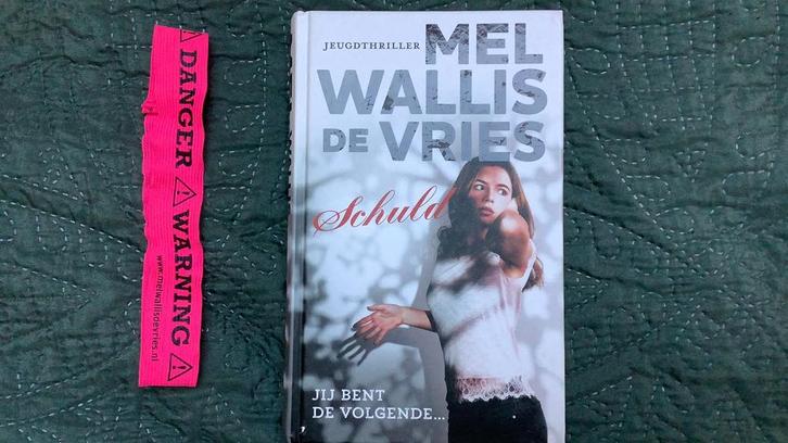Schuld, Boeken, Thrillers, Ophalen of Verzenden