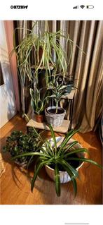 Plantentafel planten bijzet tafel metaal hout zie fotos, Huis en Inrichting, Tafels | Bijzettafels, Minder dan 55 cm, Metaal of Aluminium