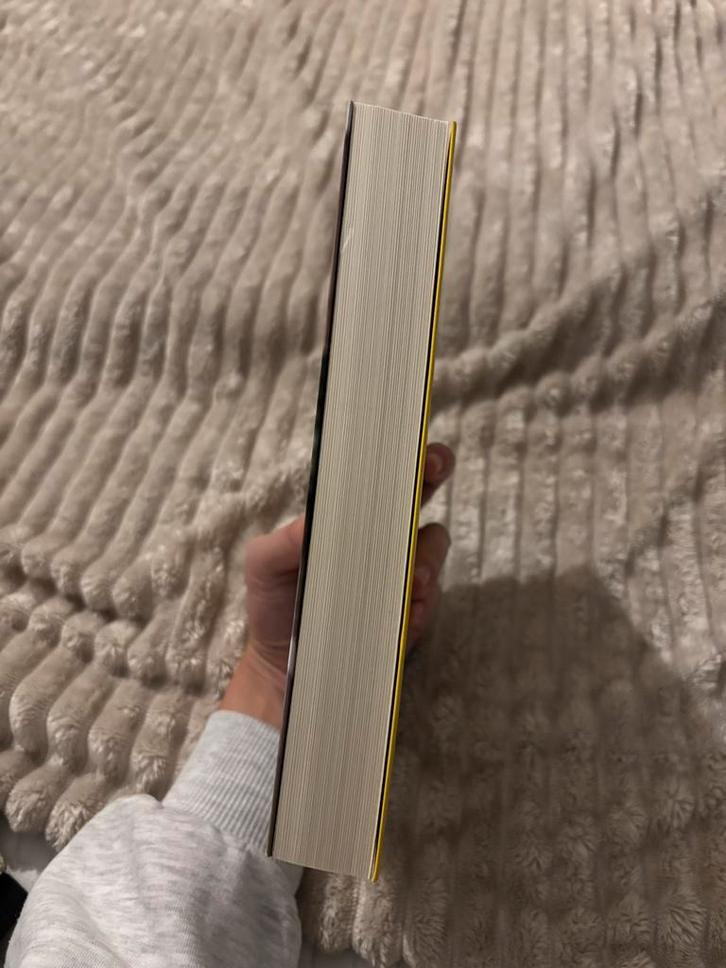 Het kan ook nooit normaal - Lieke Hester, Boeken, Biografieën, Zo goed als nieuw, Overige, Ophalen of Verzenden