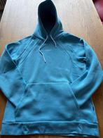 Daily Aesthetikx Aqua Blauwe heren trui met capuchon, Kleding | Heren, Truien en Vesten, Ophalen of Verzenden, Zo goed als nieuw