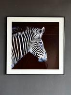 Fotolijst op glas - Zebra, Antiek en Kunst, Ophalen