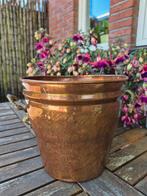 Mooie vintage koperen plantenbak jardiniere leeuw handvat, Ophalen of Verzenden, Koper