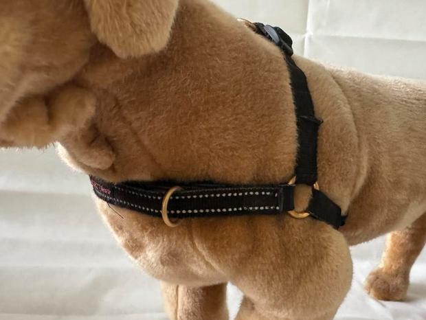 Hondentuig Mazter anti-trek maat S / M zwart met goud, Dieren en Toebehoren, Honden-accessoires, Zo goed als nieuw, Ophalen of Verzenden