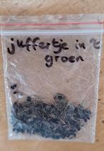 Zaden juffertje in het groen, Ophalen of Verzenden, Voorjaar, Volle zon, Zaad