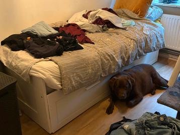 Eenpersoonsbed met opbergruimte beschikbaar voor biedingen