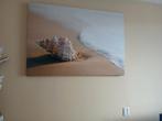 Schelp op canvas, Ophalen