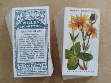 Alpine Flowers complete set 50 cigarette cards bloemen 1913  beschikbaar voor biedingen