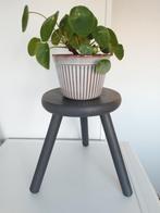 Melk krukje drie poten 29cm hoog Grijs, Verzenden, Zo goed als nieuw, Hout