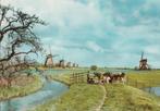 Kinderdijk, Ophalen of Verzenden, 1960 tot 1980, Ongelopen, Zuid-Holland