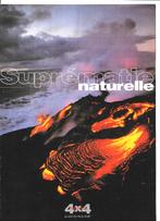 TOYOTA 4x4-gamma 1999, Ophalen of Verzenden, Zo goed als nieuw, Toyota