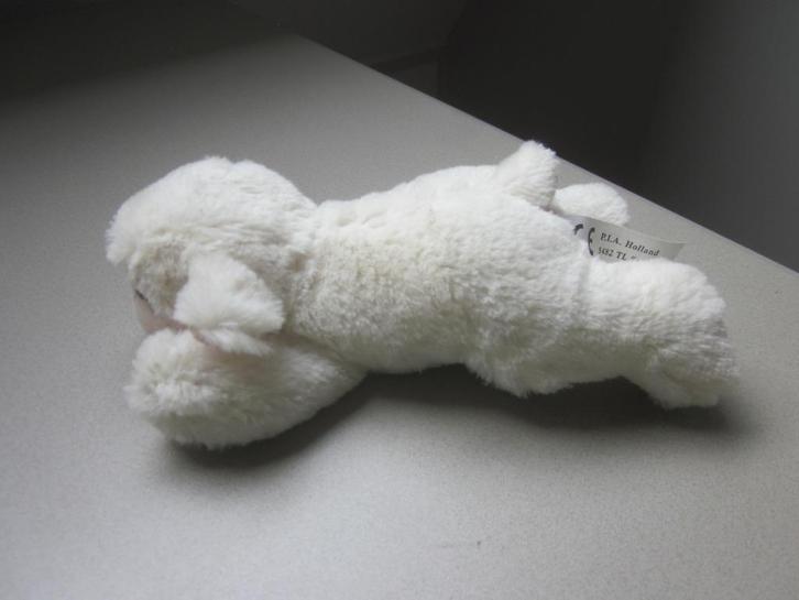 P.I.A. Holland roomwit op buik liggend superzacht schaap lam, Kinderen en Baby's, Speelgoed | Knuffels en Pluche, Nieuw, Overige typen