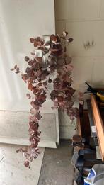 Bronskleurig kunst eucalyptus 2 meter lang, Huis en Inrichting, Woonaccessoires | Kunstplanten en Kunstbloemen, Ophalen of Verzenden